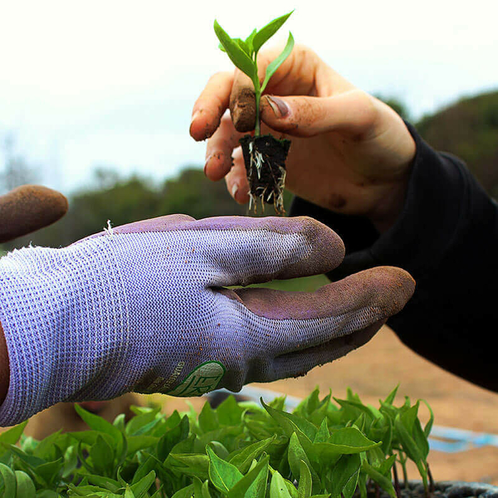 Your cuttings are in good hands Your cuttings are in good hands